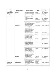 Socialinio pedagogo veiklos planas 3 puslapis