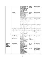 Socialinio pedagogo veiklos planas 4 puslapis