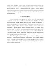 Socialinės politikos modelis 8 puslapis