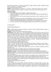 Socialinis darbas su klientu 12 puslapis