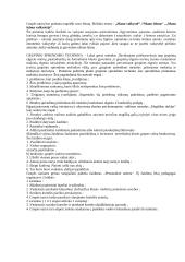 Socialinis darbas su klientu 16 puslapis