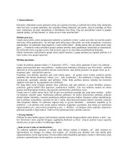 Socialinis darbas su klientu 18 puslapis