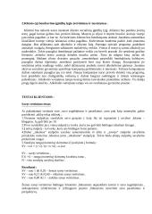 Socialinis darbas su klientu 3 puslapis