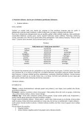 Socialinis darbas su klientu 10 puslapis