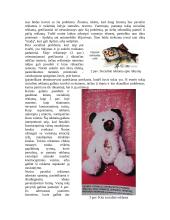 Socialinės reklamos sąvokos analizė 5 puslapis