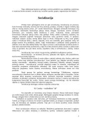 Socializacija, socialinė sąveika, grupės, organizacijos ir kultūra 2 puslapis