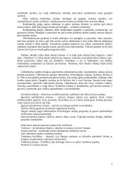 Socializacija, socialinė sąveika, grupės, organizacijos ir kultūra 3 puslapis