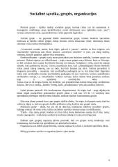 Socializacija, socialinė sąveika, grupės, organizacijos ir kultūra 4 puslapis