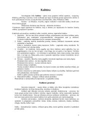 Socializacija, socialinė sąveika, grupės, organizacijos ir kultūra 5 puslapis