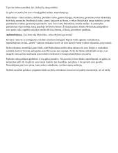 Mykoliuko – Mykolo charakteris 5 puslapis