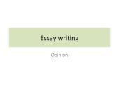 Essay writing