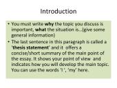 Essay writing 5 puslapis