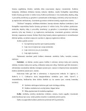 Sociologijos klausimai, atsakymai 4 puslapis