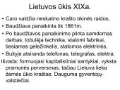 Lietuvos politinės partijos, valstybingumo idėja ir Vilniaus Didysis Seimas. Lietuvos visuomenė XIX a. 10 puslapis