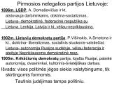 Lietuvos politinės partijos, valstybingumo idėja ir Vilniaus Didysis Seimas. Lietuvos visuomenė XIX a. 7 puslapis