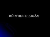 Neoromantizmas literatūroje 11 puslapis