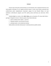 Spaudos rinkos analizė 3 puslapis