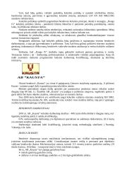 Statybos marketingo pagrindų savarankiškas darbas 13 puslapis