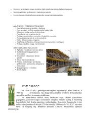 Statybos marketingo pagrindų savarankiškas darbas 15 puslapis