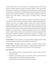 Covid-19 įtaka JAV prekybai 2 puslapis