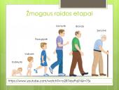 Žmogaus raida. Gyvybės formavimasis 2 puslapis