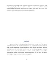 "Ignitis grupė"  įmonės socialinės atsakomybės ataskaita 9 puslapis