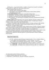 Statybos produktai - mediena, keramika, kalkės 12 puslapis