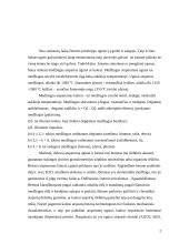 Statybinės medžiagos. Ugniai, kaitrai, rūgštims atsparūs mišiniai 2 puslapis