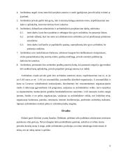 Statybos inžinierius 6 puslapis