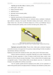 Automatinių pavarų dėžių konstrukcijos analizė  15 puslapis