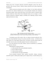 Automatinių pavarų dėžių konstrukcijos analizė  8 puslapis