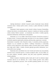 Demokratijos ir pilietinės visuomenės santykis 11 puslapis