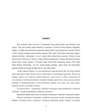 Demokratijos ir pilietinės visuomenės santykis 2 puslapis