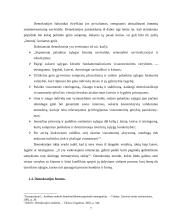 Demokratijos ir pilietinės visuomenės santykis 6 puslapis