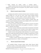 Demokratijos ir pilietinės visuomenės santykis 9 puslapis