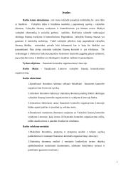 Finansinės kontrolės organizavimas Lietuvoje 2 puslapis