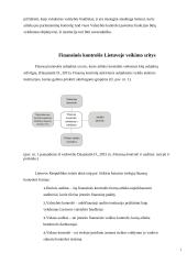 Finansinės kontrolės organizavimas Lietuvoje 5 puslapis