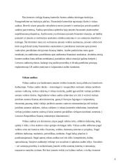 Finansinės kontrolės organizavimas Lietuvoje 6 puslapis