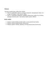 Statybos išteklių poreikio kiekio ir kainų skaičiavimas 2 puslapis