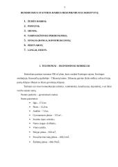 Statybos technologijų aiškinamasis darbas 3 puslapis