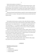 Statybos technologijų aiškinamasis darbas 4 puslapis