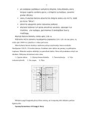Statybos technologijų aiškinamasis darbas 7 puslapis