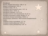 Katedra w Reims  7 puslapis