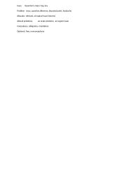 Essay materials for writing 5 puslapis