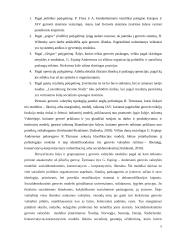 Socialinės atskirties problema socialinės gerovės valstybėje. Mokslo literatūros apžvalga 4 puslapis