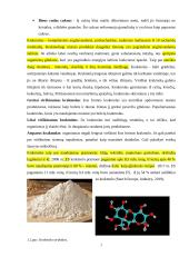 Cukraus, krakmolo, riebalų ir jų produktų klasifikacija, asortimentas , sensorinis vertinimas bei cheminės sudėties ir maistinės vertės kitimo analizė 5 puslapis