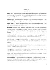 Greito maisto restorano įranga 6 puslapis