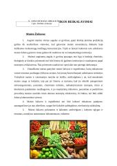 Darbo vietos virtuvėje žmogaus saugos reikalavimai, atsargumo priemonės veikiant rizikoms, darbų saugos įstatymo vykdymas 4 puslapis