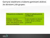 Sriubų gamybos technologijos  10 puslapis