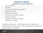 Sriubų gamybos technologijos  12 puslapis